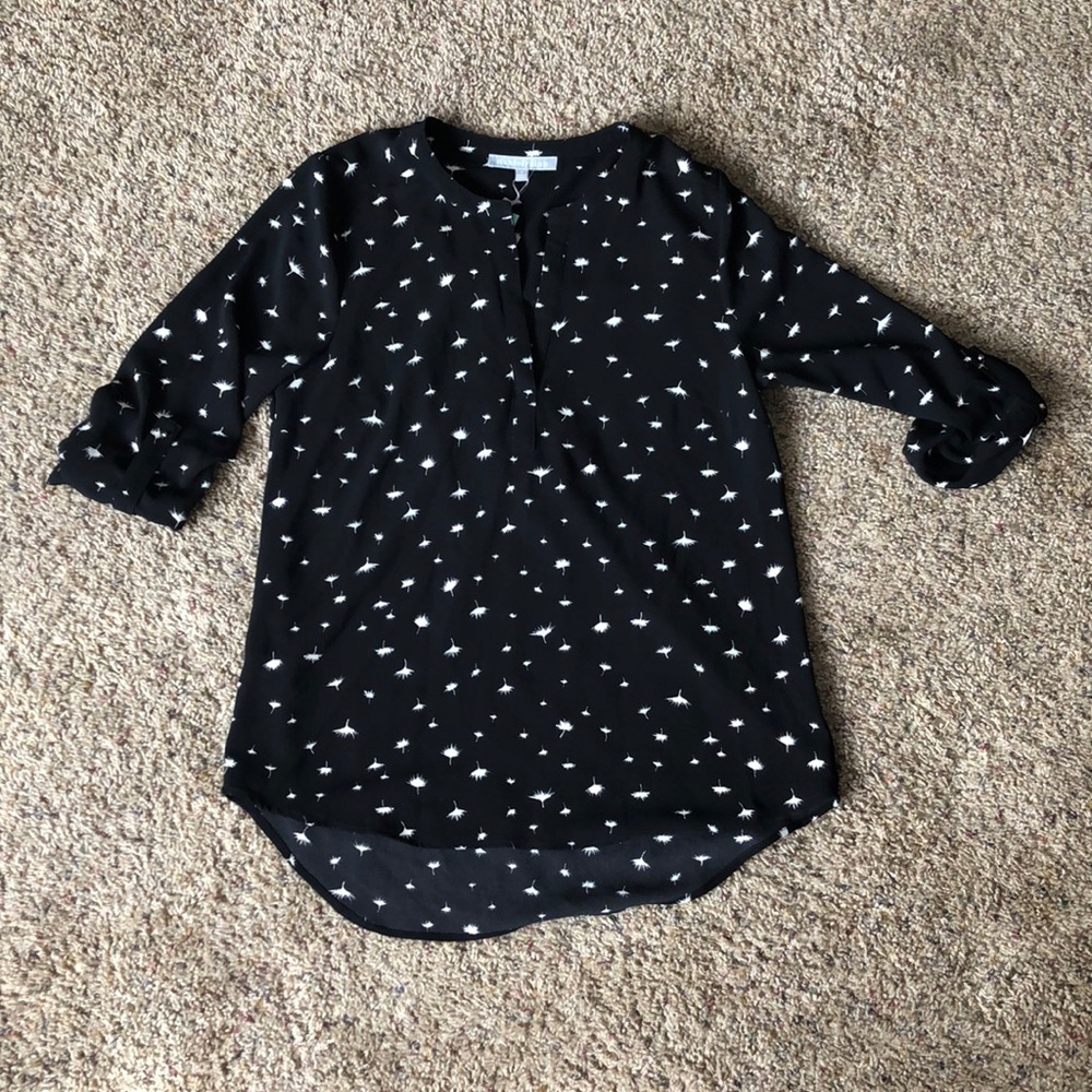 Dandelion seed top